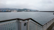 Kagoshima bay