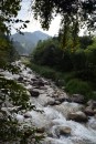 Rocky creek bed