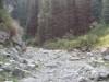 The very stony and bumpy road up the gorge