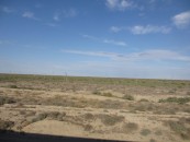 View from train to Baikonur