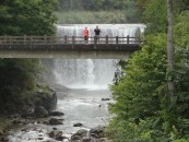 Road leading to start of Walk _ note artifical waterfall