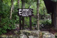 Start of walk to Ropeway on Miyajima Island