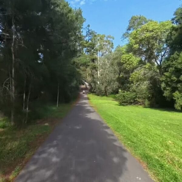 Candlebark 2m ARDF Event Sunday